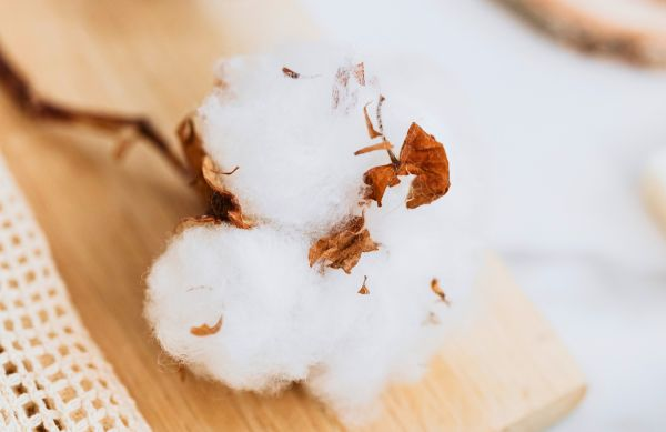 Chouchous en coton